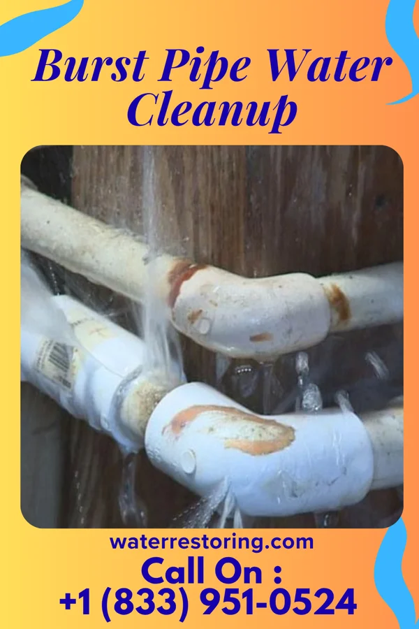 Burst Pipe Water Cleanup in Granton, WI