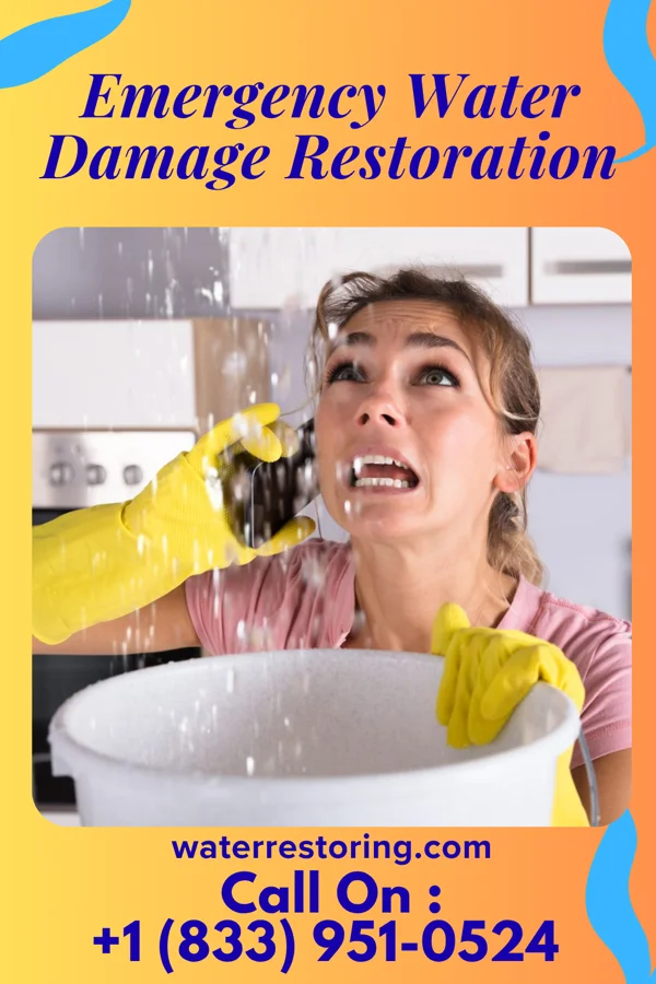 Emergency Water Damage Restoration in Granton, WI