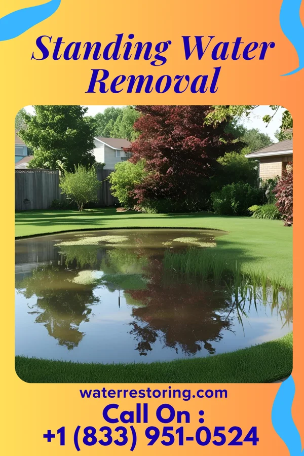 Standing Water Removal in Granton, WI